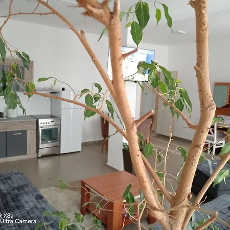 Apartment Predah Vranje